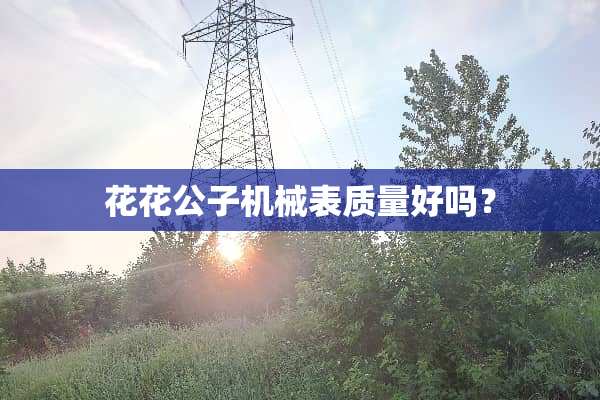 ****机械表质量好吗？