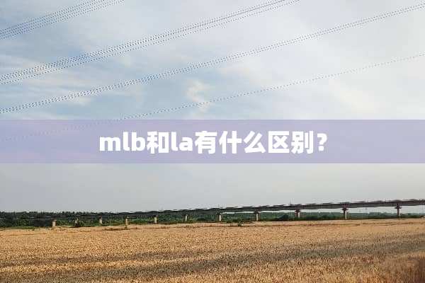 mlb和la有什么区别？