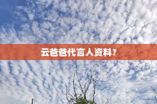 云爸爸代言人资料？