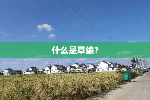 什么是草编？