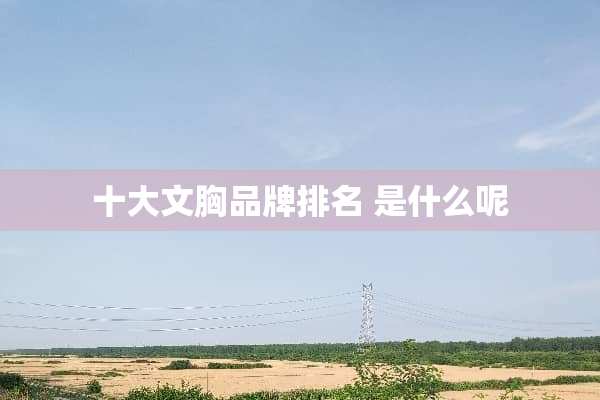 十大文胸品牌排名 是什么呢