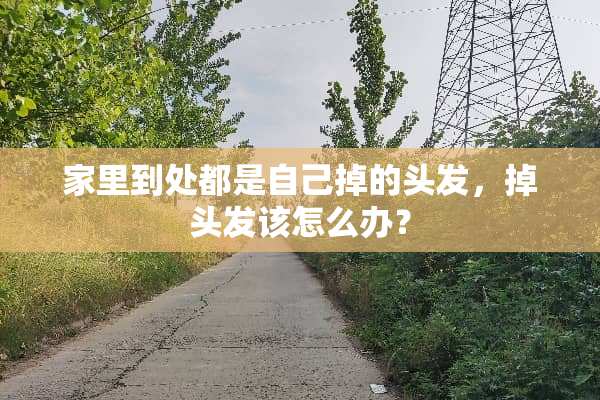 家里到处都是自己掉的头发，掉头发该怎么办？
