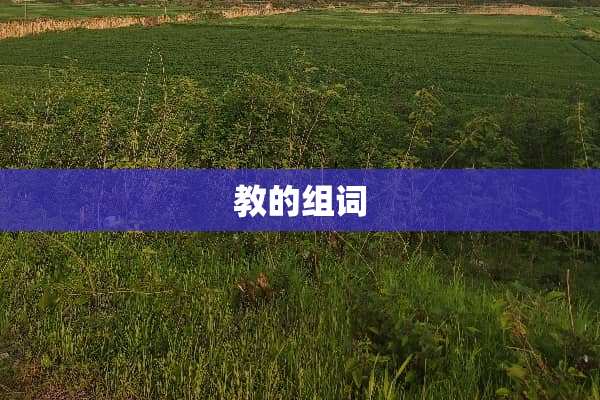 教的组词