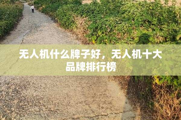 无人机什么牌子好，无人机十大品牌排行榜