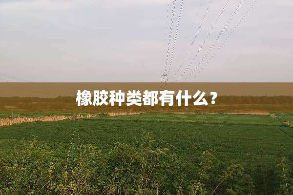 橡胶种类都有什么？