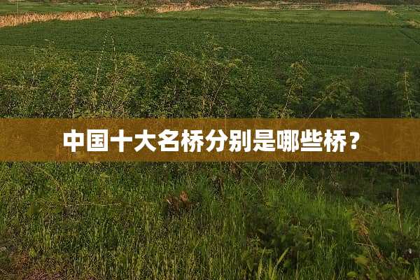 中国十大名桥分别是哪些桥？