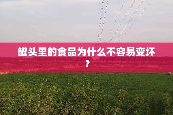 罐头里的食品为什么不容易变坏？