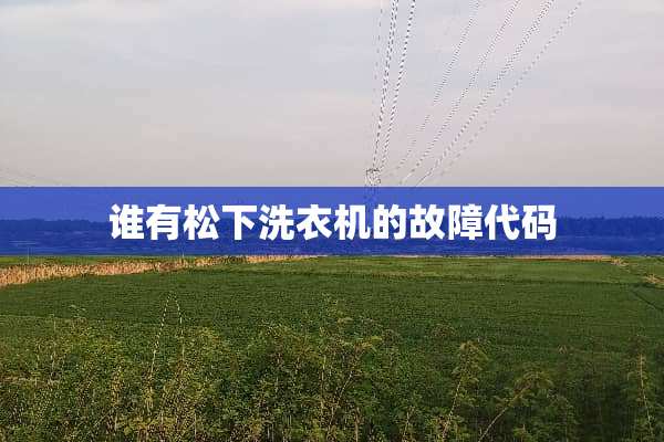 谁有松下洗衣机的故障代码