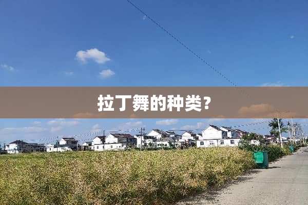拉丁舞的种类？