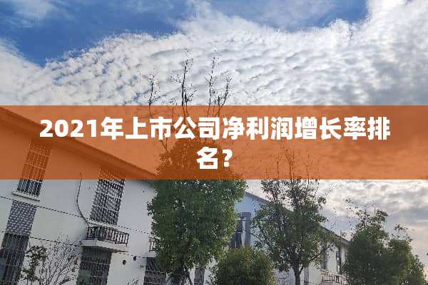 2021年上市公司净利润增长率排名？