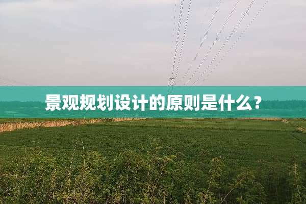 景观规划设计的原则是什么？