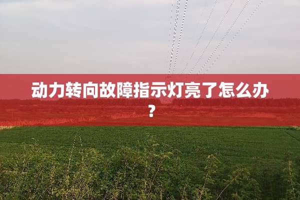 动力转向故障指示灯亮了怎么办？