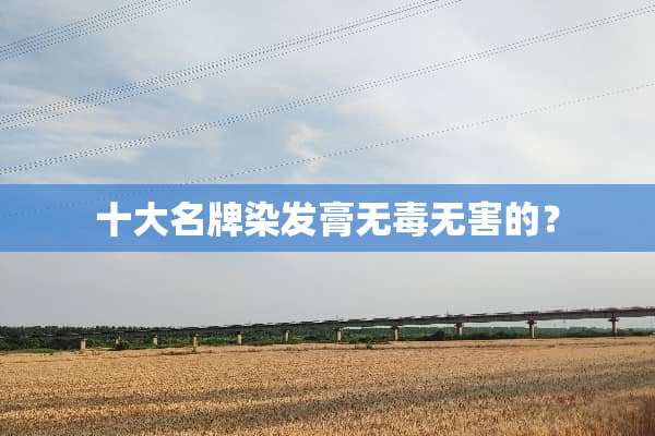 十大名牌染发膏无毒无害的？