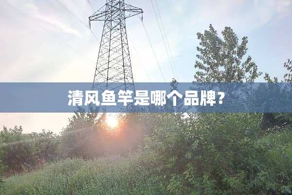 清风鱼竿是哪个品牌？