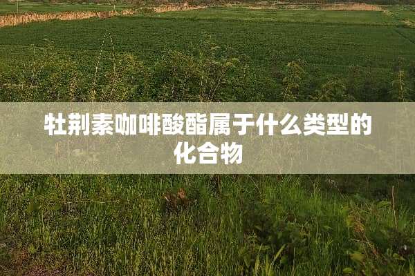 牡荆素咖啡酸酯属于什么类型的化合物