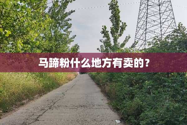 马蹄粉什么地方有卖的？