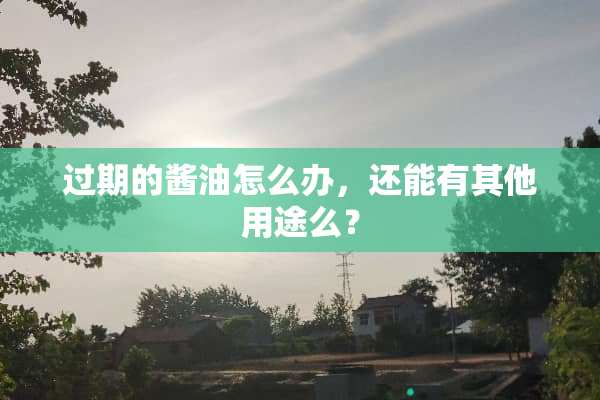 过期的酱油怎么办，还能有其他用途么？