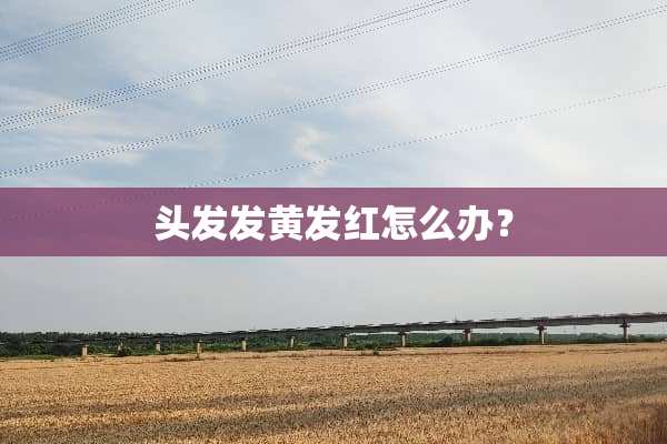 头发发黄发红怎么办？