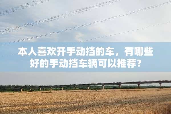 本人喜欢开手动挡的车，有哪些好的手动挡车辆可以推荐？