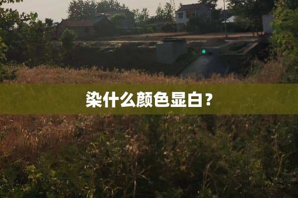 染什么颜色显白？