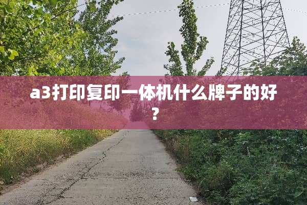 a3打印复印一体机什么牌子的好？