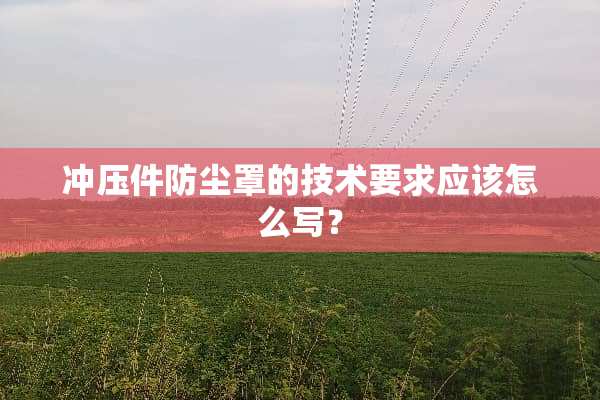 冲压件防尘罩的技术要求应该怎么写？