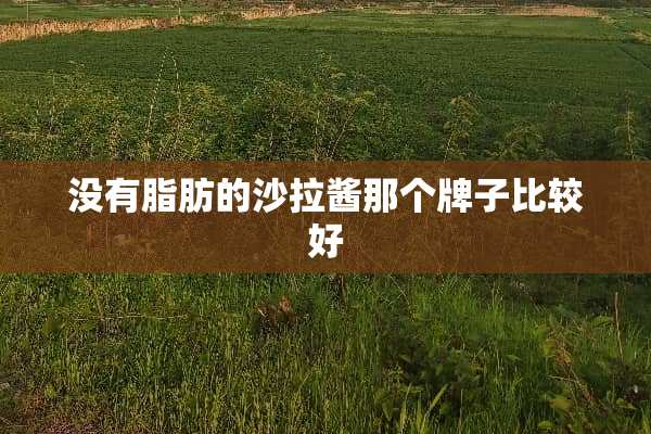 没有脂肪的沙拉酱那个牌子比较好