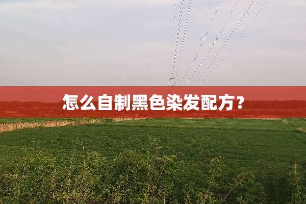 怎么自制黑色染发配方？