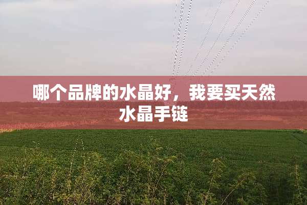 哪个品牌的水晶好，我要买天然水晶手链