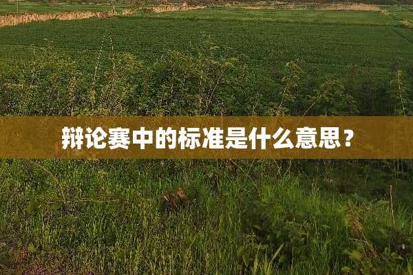 辩论赛中的标准是什么意思？