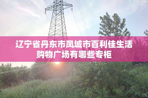 辽宁省丹东市凤城市百利佳生活购物广场有哪些专柜