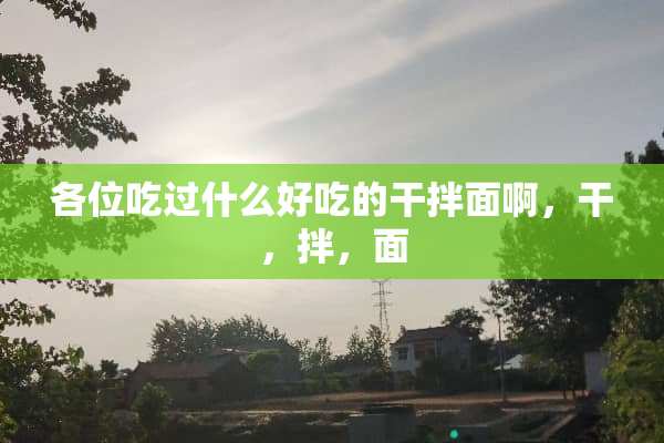 各位吃过什么好吃的干拌面啊，干，拌，面