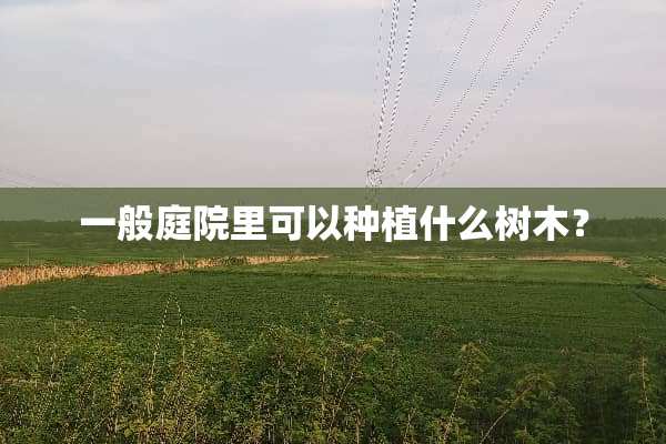 一般庭院里可以种植什么树木？