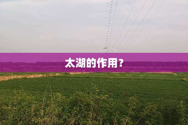 太湖的作用？