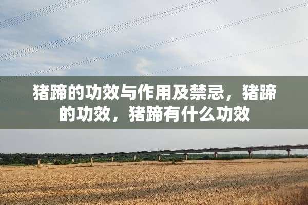猪蹄的功效与作用及禁忌，猪蹄的功效，猪蹄有什么功效