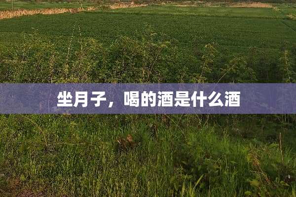 坐月子，喝的酒是什么酒