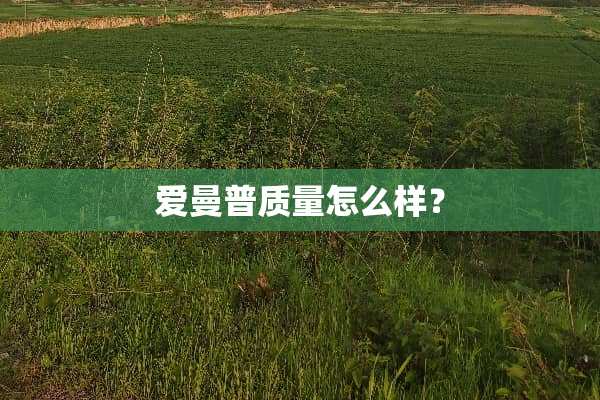 爱曼普质量怎么样？