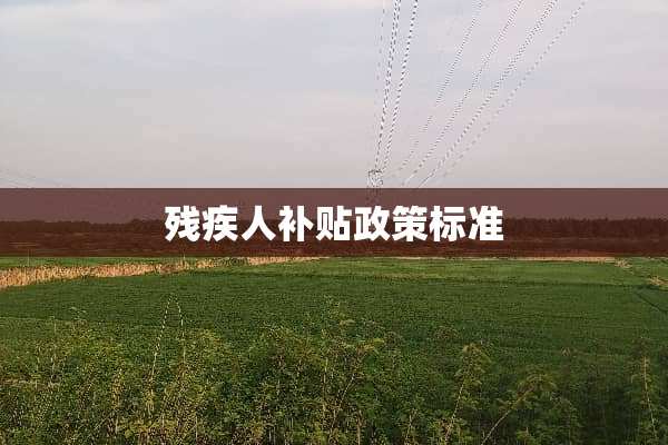 残疾人补贴政策标准