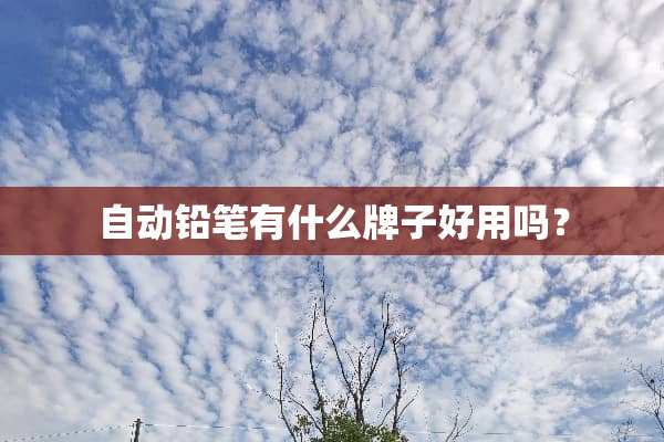 自动铅笔有什么牌子好用吗？