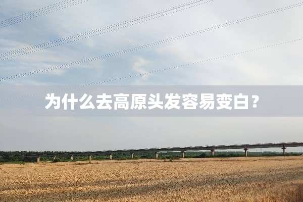 为什么去高原头发容易变白？