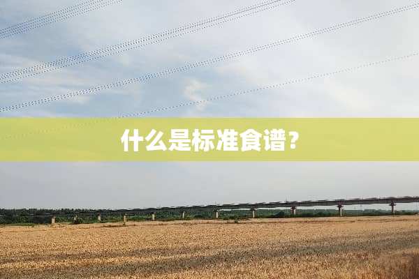 什么是标准食谱？