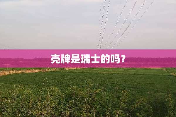 壳牌是瑞士的吗？