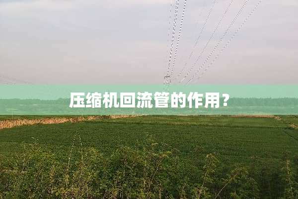 压缩机回流管的作用？