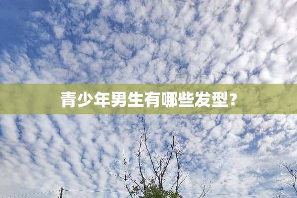 青少年男生有哪些发型？