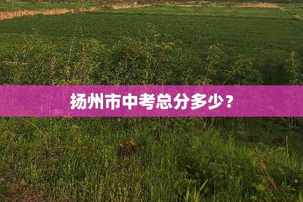 扬州市中考总分多少？