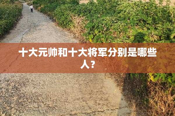 十大元帅和十大将军分别是哪些人？