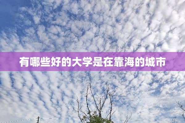有哪些好的大学是在靠海的城市
