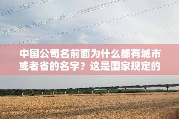中国公司名前面为什么都有城市或者省的名字？这是国家规定的吗？