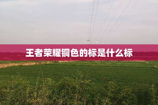 王者荣耀铜色的标是什么标