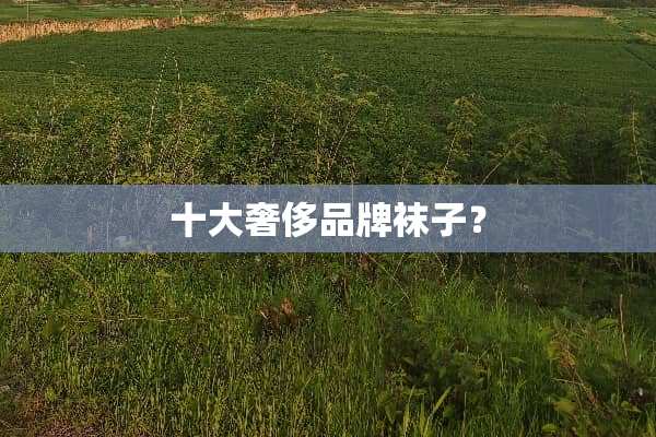十大奢侈品牌袜子？